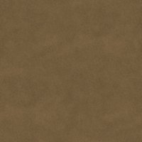 Asset preview